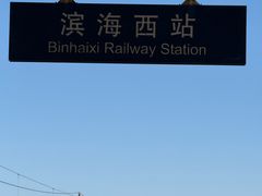 -滨海西站