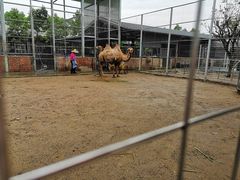 -迪茵湖田家舍生态农场