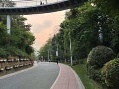 -仙岳公园