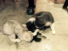 iphone_upload_pic-MIKAKU(万达广场上海宝山店)