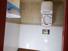 -金山农民画村-枫泾波兰倒置屋