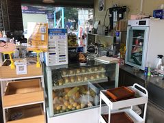 -柴犬高等学院·狗咖·柴犬售卖·宠物训练