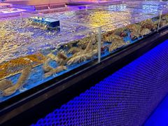 -十二海鲜(南湖店)