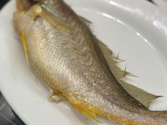 -吴记富苑(朝阳店)