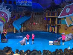 -烟台海昌鲸鲨海洋公园