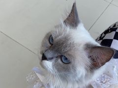 -怪兽屋·羊驼·猫咖·狗咖(俊华广场店)