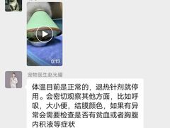 -瑞派申生动物医院·24H夜诊·国际动物医疗中心·骨外科(吴中路店)