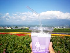 -富田农场