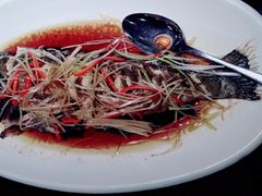 -福来齐·鲁菜海鲜·渔家菜(朝阳街分店)