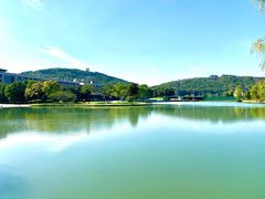 -上海佘山世茂艾美酒店