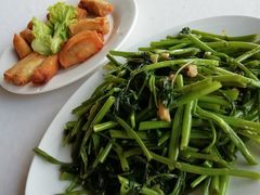 -越海渔村