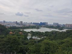 -顺峰山公园