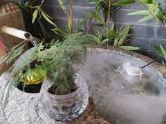 -重庆石磨豆花庄(乔庄店)