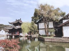 -鲁镇