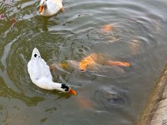 -武汉紫薇都市田园