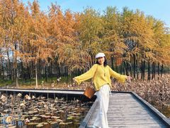 -长广溪湿地公园