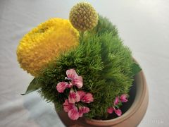 -冰火楼(梦泽园店)