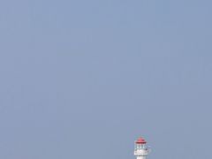 -上海滨江森林公园