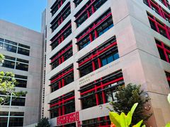 -香港大学