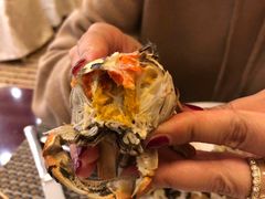 -金狮国际酒店自助餐(金狮店)