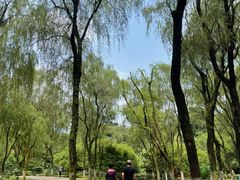 -柳莺湖上·湖景餐厅·江南菜(西湖店)