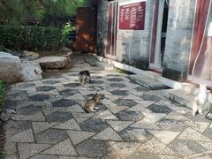 -李叔同故居纪念馆