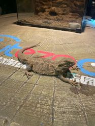 -酷嗒动物文化乐园(cutezoo西溪乐天城店)