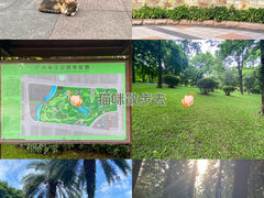 -广州珠江公园