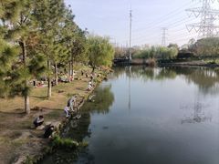 -九里河湿地公园