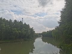 -自然谷恐龙园