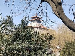 -解放阁