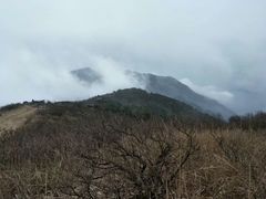 -东天目山风景区