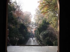 -灵谷景区