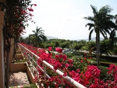 -三亚亚龙湾金棕榈度假酒店