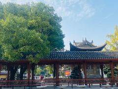 -上海东林寺(金山区)