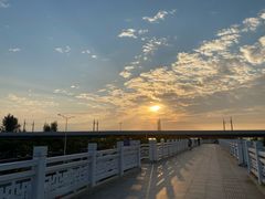 -宝安西湾红树林湿地公园