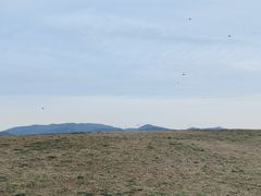 -良渚古城遗址公园