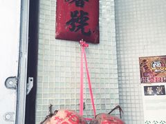 -洪馨椰子