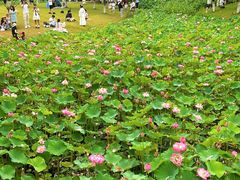 -沐仙湖湿地公园