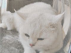 -美联众合24小时·皮肤科·外科·全科诊疗中心(华苑分院)