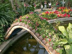 -北京植物园-展览温室