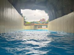 -上海玛雅海滩水公园