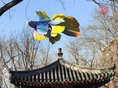 -西海子公园