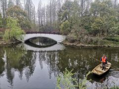 -东平国家森林公园