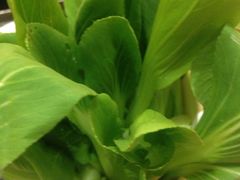 -羊阿公·嘉福烤全羊龙虾馆·家常菜(广益店)