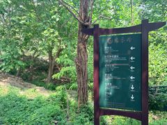 -北京凤凰岭