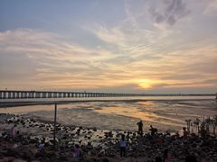 -宝安西湾红树林湿地公园