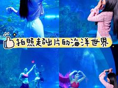 -威海华夏城景区