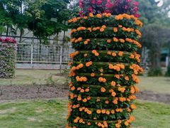 -丹樱生态园
