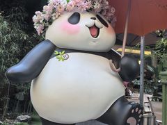 -轩客会(熊猫书店)
